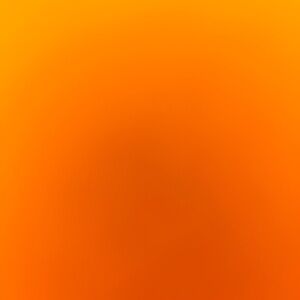 Meet your Posher, Ava